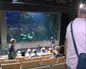El Festival de Cine del Mar del Aquarium ofrece películas relacionadas con el mar todas las mañanas gratis