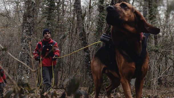 Perro rastreador y su guía en el bosque
