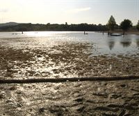 El embalse de Ullibarri-Gamboa aparece lleno de algas