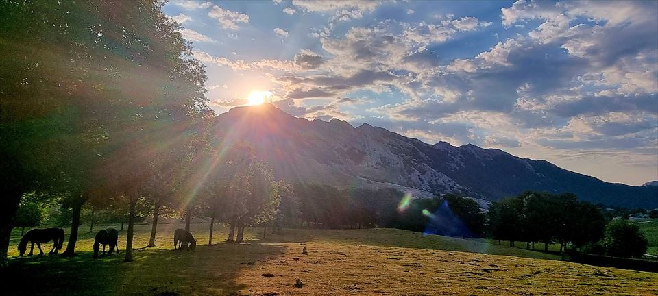 Urbia (Gurutze Azcarate)