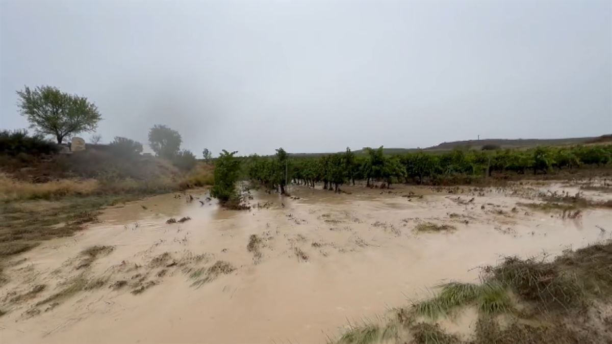El temporal causa enormes daños en los viñedos de Oyón