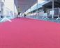 El Festival de Cine de San Sebastián despliega su alfombra roja