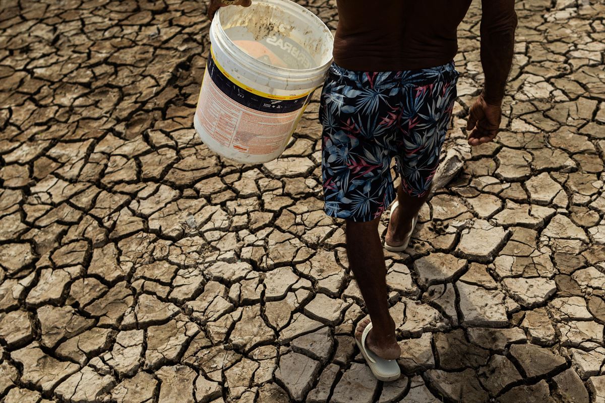 Imagen de sequía en Brasil. Foto: EFE