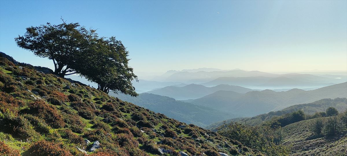 Gorbea. Foto: Jon Sáenz de Ugarte