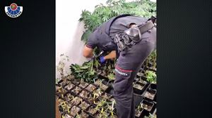 Bi lagun atxilotu dituzte Orozkon eta Amurrion bi kalamu laborategi desegin ostean