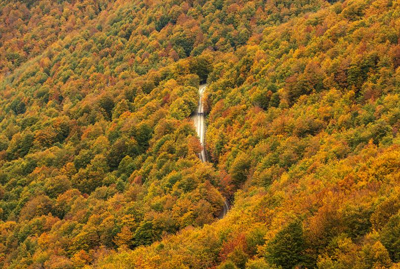 07 De colores - Pablo Pérez Herrero