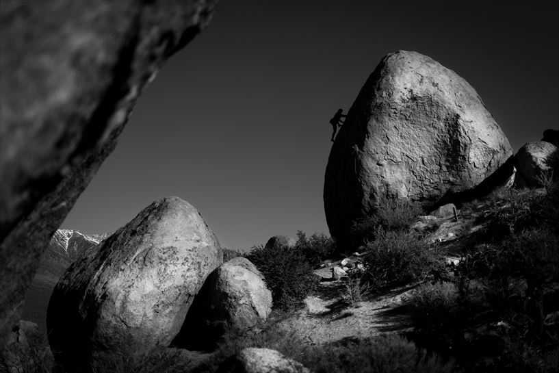  12 Huevos Grandes - Christian Pondella