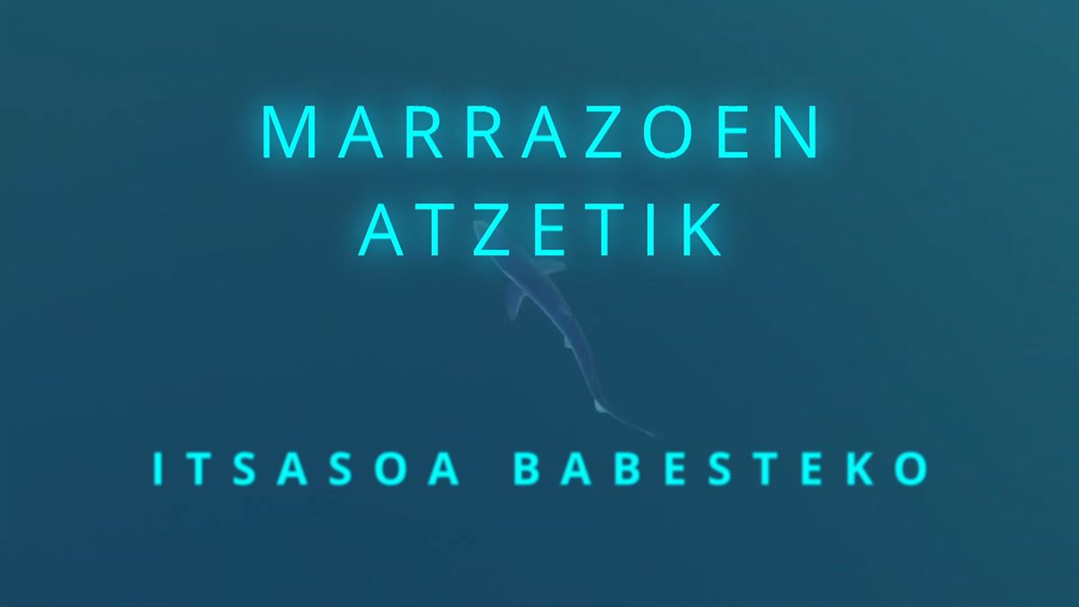 Marrazoen atzetik.