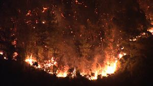 Urtebete, Balmasedan eta Zallan 441 hektarea erre zituen sutea izan zela