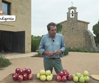 Gala, Golden, Fuji, Story y Chantecler; conocemos las variedades de manzana con las que trabaja Juan de Blas