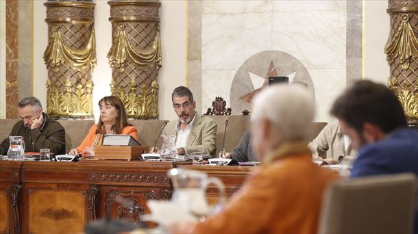 Goia ha realizado el anuncio en el pleno de política general. 