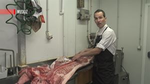 Ba al dakizue txerriaren zein ataletatik ateratzen diren azpizuna, urdaiazpikoa, solomoa eta sekretua?