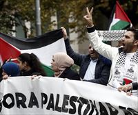 Los sindicatos vascos se unirán en las movilizaciones en defensa del pueblo palestino el próximo viernes