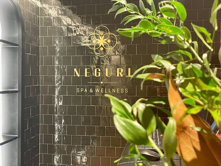 Entrada a SPA Neguri