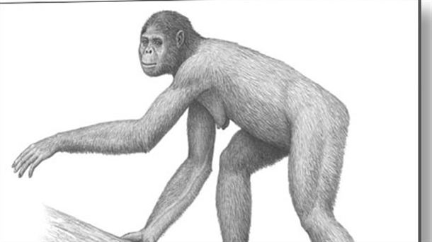 Primates al este del Edén: las adaptaciones que modelaron al ser humano. Materiales flexibles para el espacio