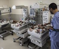 Egipto traslada a los 28 bebés prematuros en estado crítico evacuados de Gaza a diversos hospitales