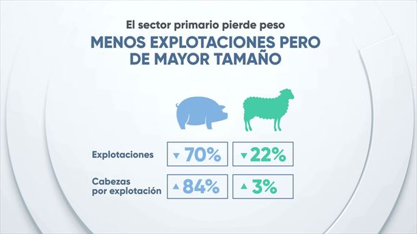 Retroceso del primer sector con poco relevo generacional