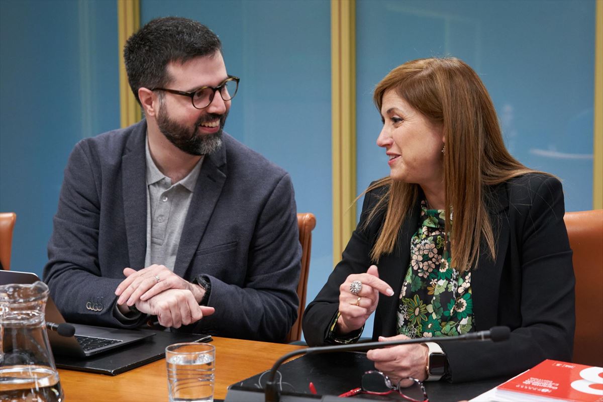 Gorka Álvarez (PNV) y María Jesús San José (PSE-EE) en la ponencia parlamentaria. Foto: EFE