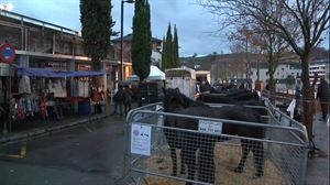La feria de Santa Lucía reúne hoy a miles de personas en Zumarraga y Urretxu