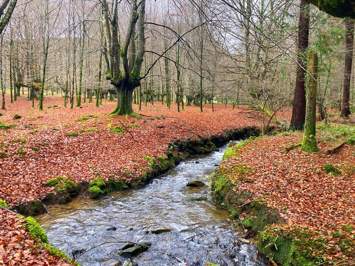 Otoño en Urkiola. Foto: Victor Uriarte