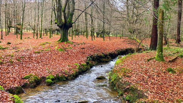 Otoño en Urkiola. Foto: Victor Uriarte