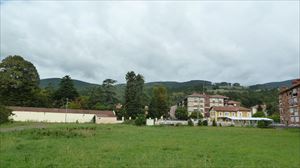 Zalla eta Balmaseda arteko zirkulazioa eten dute, zuhaitz batek trenbidea oztopatzen duelako