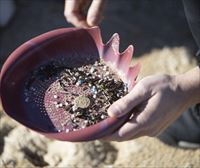 Asturias eleva la emergencia y podrá pedir ayuda estatal para retirar los microplásticos