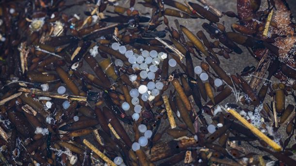 Pellets de plástico acumulados en la playa de La Virgen del Mar, en Santander. Foto: EFE