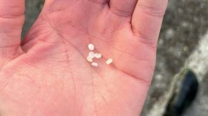 Azti Zierbenako Arena hondartzan agertu diren plastikozko pinportak isuritik datozen ikertzen ari da