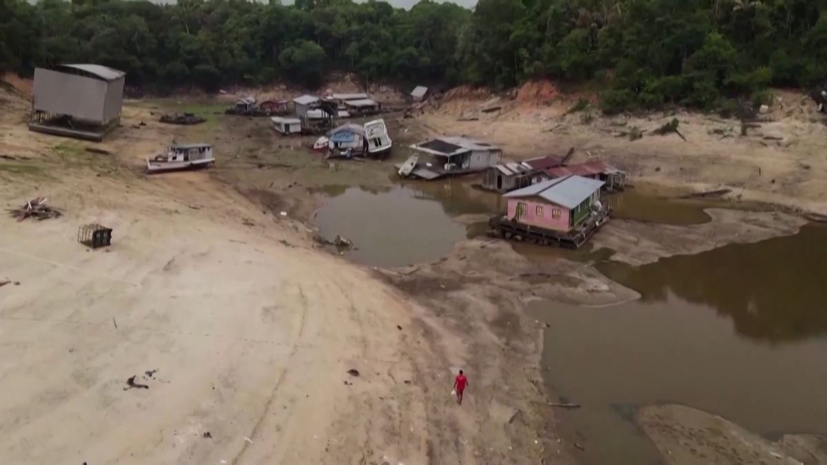 Sequía en la Amazonía. Imagen obtenida de un vídeo de Agencias.