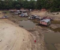 El cambio climático fue el principal impulsor de la sequía en la Amazonía en 2023, y no el fenómeno de El Niño