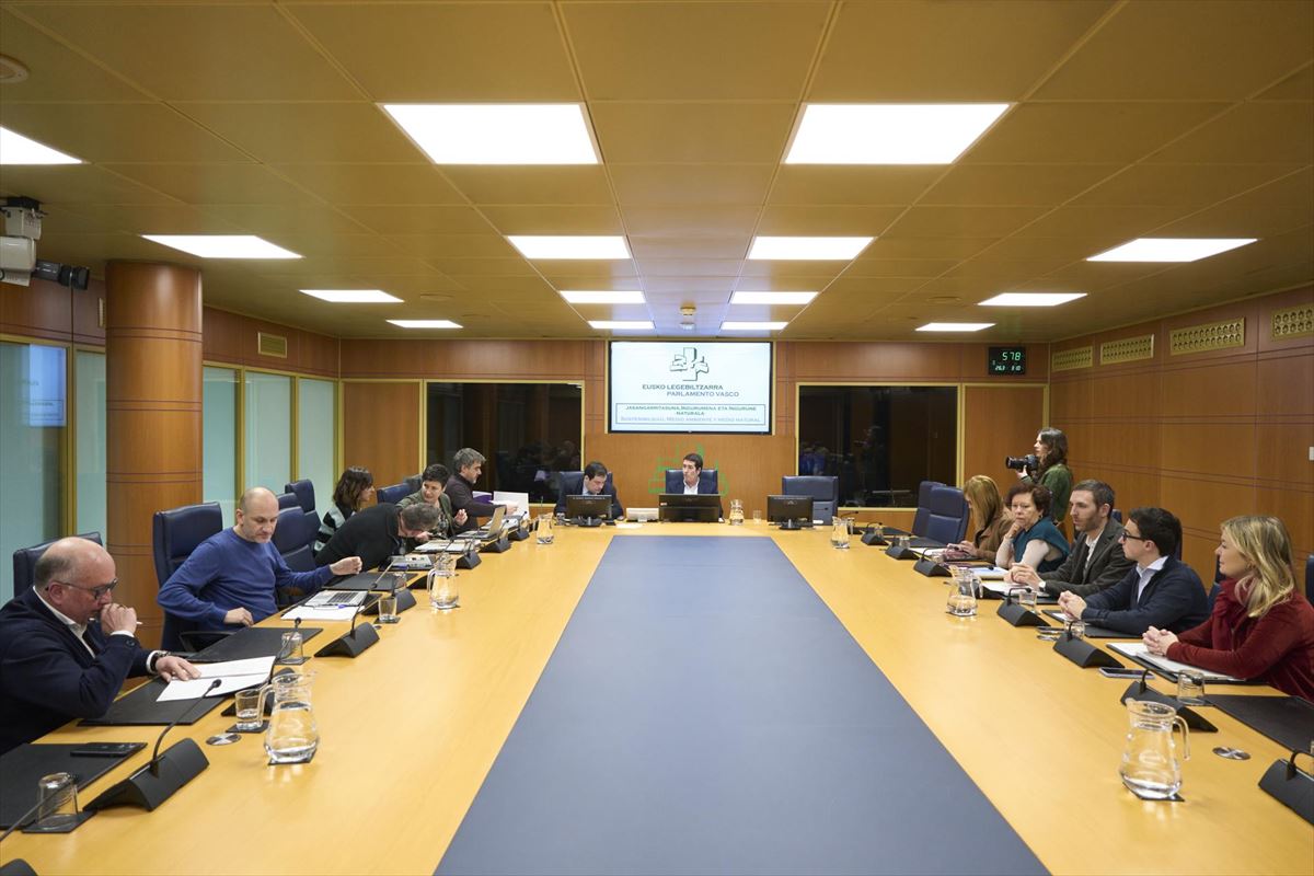 Una comisión del Parlamento Vasco en la pasada legislatura. Foto de archivo: EFE