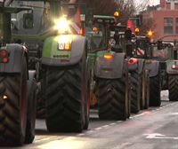 Piden la dimisión de dos de los agricultores condenados por asaltar el Parlamento por ser miembros de UPN