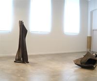 Tabakalera presenta la exposición de escultura contemporánea ''Larruak eta izurrak''