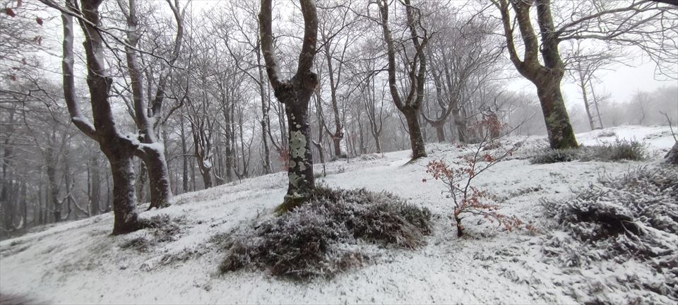 Urkiola. Marivi Gonzalez de Audicana
