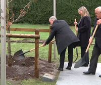 Plantan un retoño del árbol de Gernika en Trucios