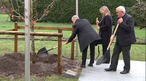 Gernikako arbolaren kimu bat landatu dute Turtziozen