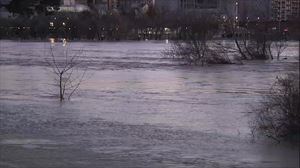 Ebro ibaiaren ur-goraldiak Erriberagoitia hartu du