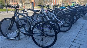 ¿Sabes cuántas bicis hay en Vitoria-Gasteiz?