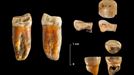 Hallados restos de Neanderthal de hace 100&nbsp;000 años en el yacimiento de Axlor