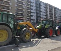 Agricultores de Hegoalde se concentran ante el Palacio Europa para pedir ''medidas necesarias'' para el sector