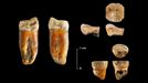 100.000 urteko neandertalak Bizkaian, Zientzia Azoka Noafarroako…