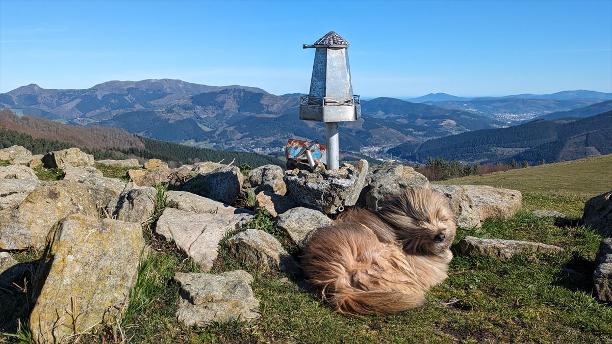 El fuerte viento sacude el pelaje de un perro en la cumbre de un monte. Foto: Sabino De Bilbao Atxa