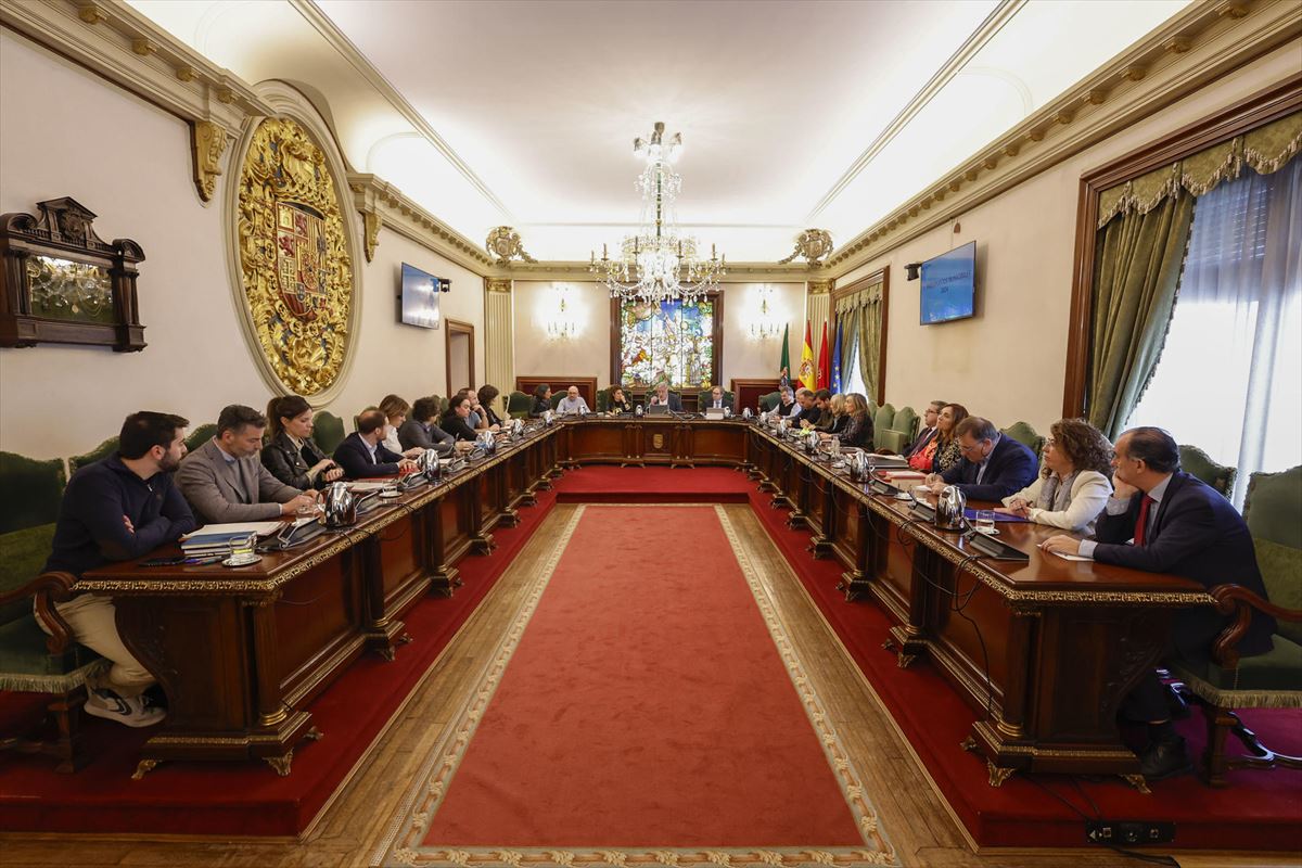 Pleno del Ayuntamiento de Pamplona, hoy. Foto: EFE