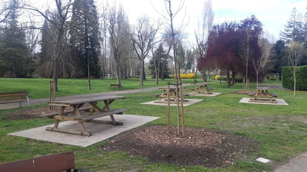 Vitoria-Gasteiz cuenta con 1.587 nuevos árboles para ofrecer más espacios de sombra 