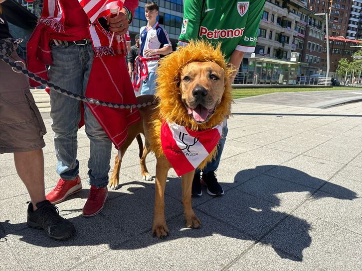 Argazkia: EITB Media