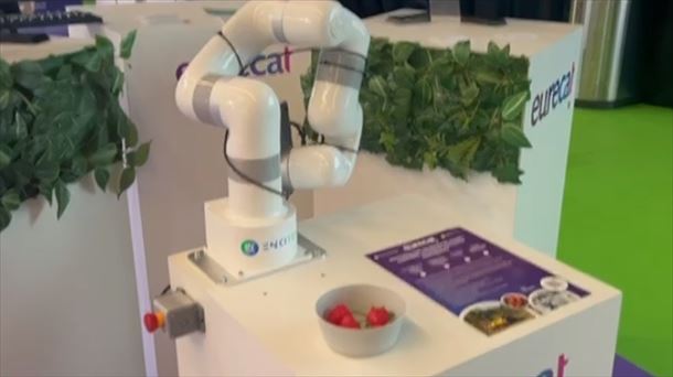 ¡Robots que recogen fresas con inteligencia y vision artificial!