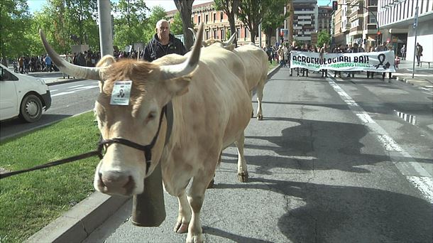 Manifestación en Pamplona