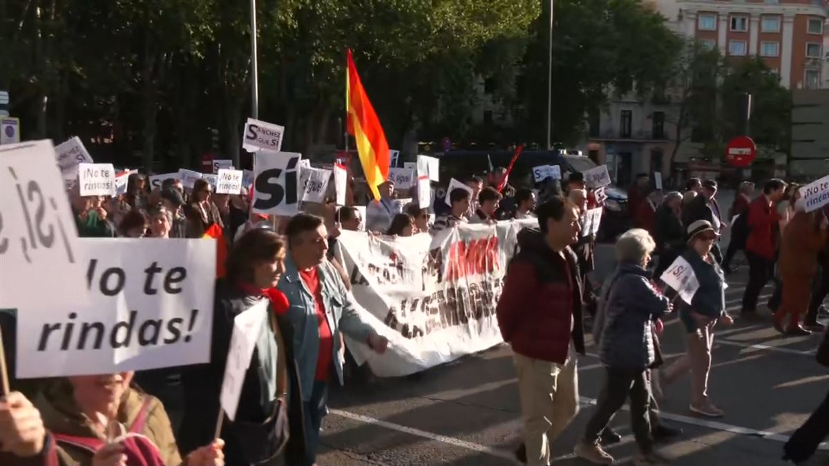Miles de personas han secundado la manifestación 'Por amor a la democracia'. EFE. 