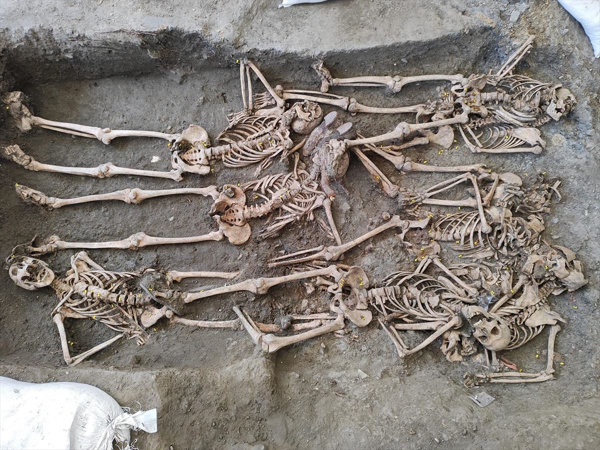Varios restos exhumados de una fosa común de Viznar (Granada). 